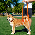 GentleStride Rear Support Lift Dog Harness